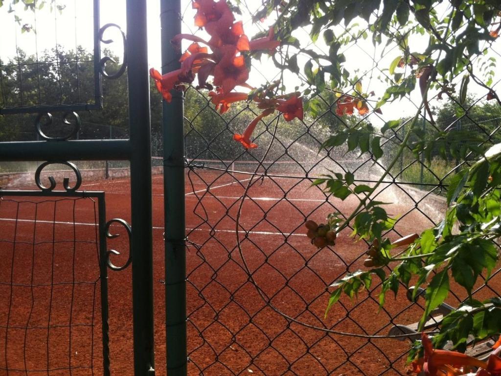 Villa In Funtana With Private Tenniscourt Kültér fotó